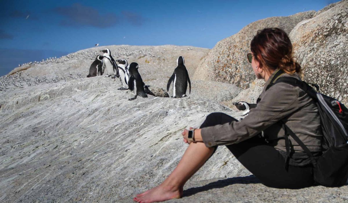 Luxury, Comfort, and Reliability